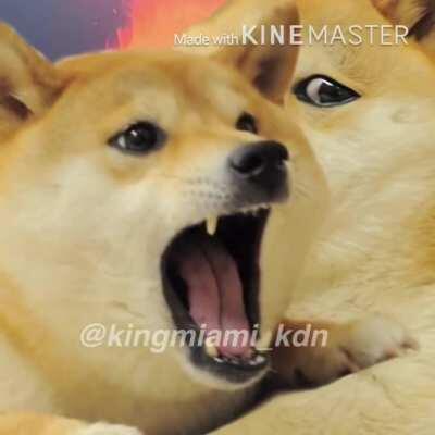 Le Smethwick Birmingham has arrived