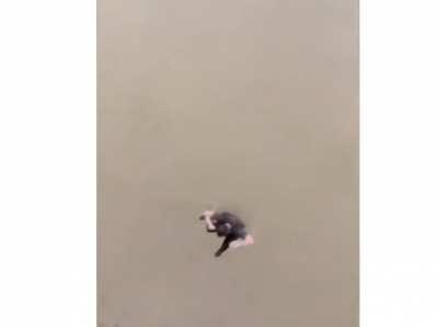 Pokemon logic is cursed