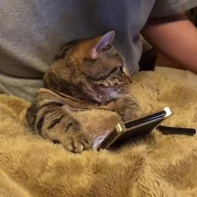 Guess I'm a cellphone prop now