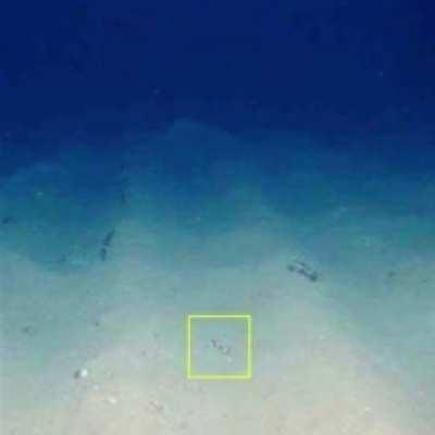 guys I found my controller