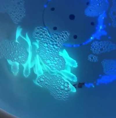 Glow-in-the-dark fish