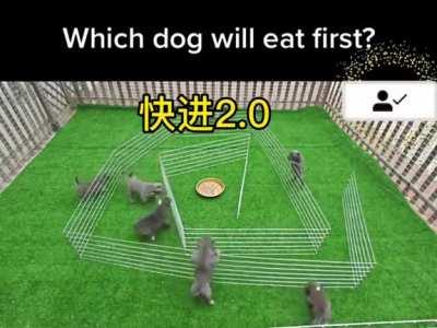 This is so easy I can do it way faster