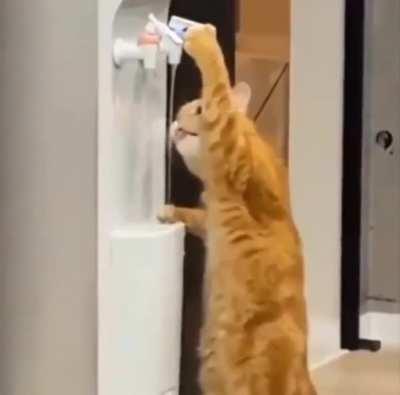 Staying hydrated....