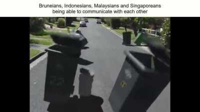 Ultimate Southeast Asia Slander