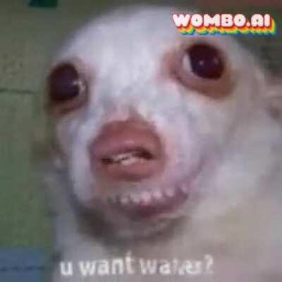 Thanks, I hate that nose