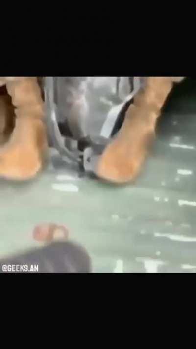 Snap back to reality