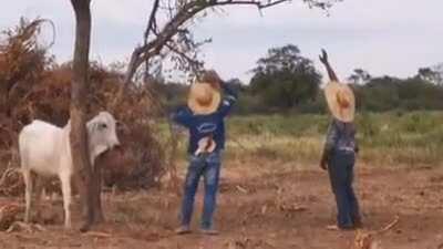 Thanks for the help, but I cannot forgive you