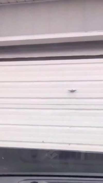 Guy comes home from work every day.