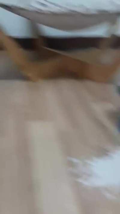 This is precious lol