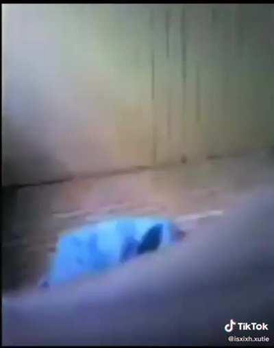 He was just trynna vibe😂