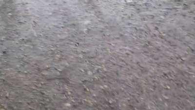 Gonna take her for a rip after putting all the tranny lines back together