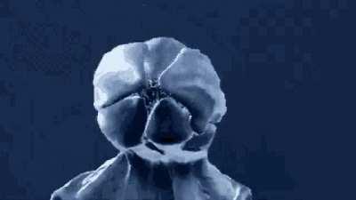 If you could have any killer power irl what would it be I will give a side effect:image unrelated