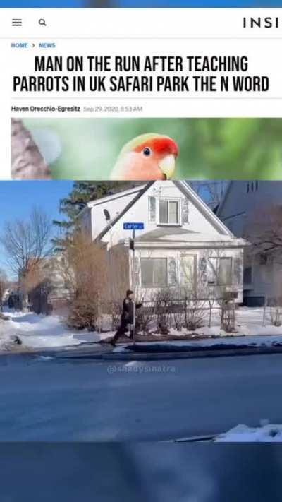 Steven on the run 😇