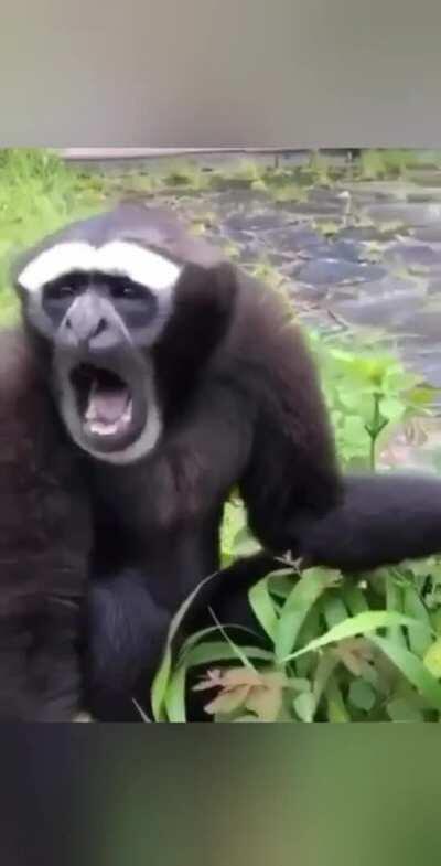 Walking down the street