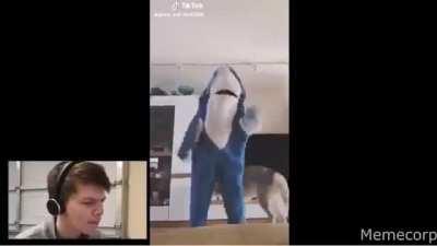 i found a videos from young virgin AlfaOxtrot