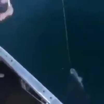 Russian fishing 🇷🇺