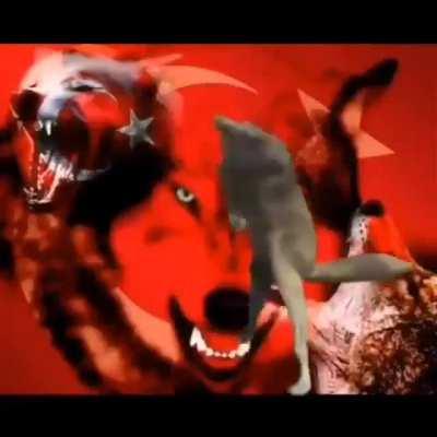 Kebap👌😎🇹🇷