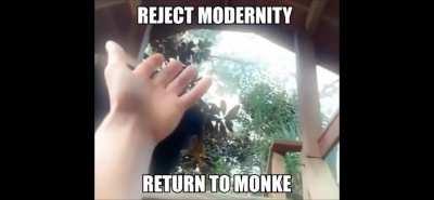 All we have to do is embrace them