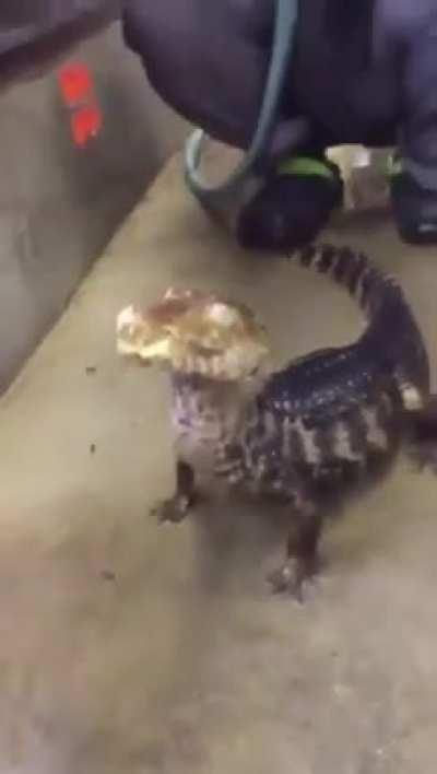 Demasiados memes sobre la golpiza de orslok?