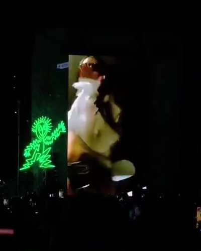 Showing off at Laneway