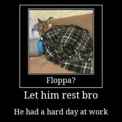 Wakey wakey it's time for schoo