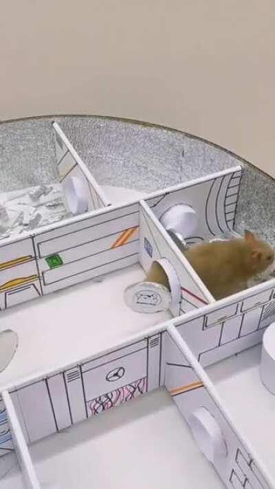 Hamster Starship - Future technology!