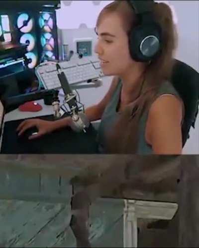 Многие сейчас удивятся, но в некоторых играх можно оценивать расстояние до цели по карте и меткам на прицеле, как тут в PUBG