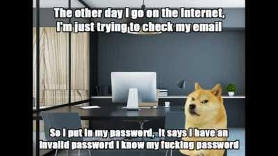 Le Institution has arrived