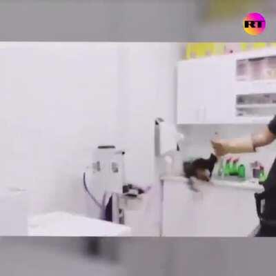 Taking kitty to the vet.