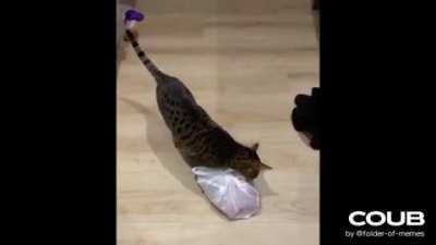 When you got a little karma