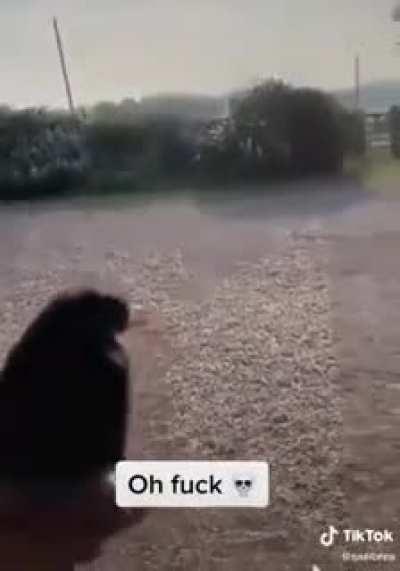 Spread your wings and fly