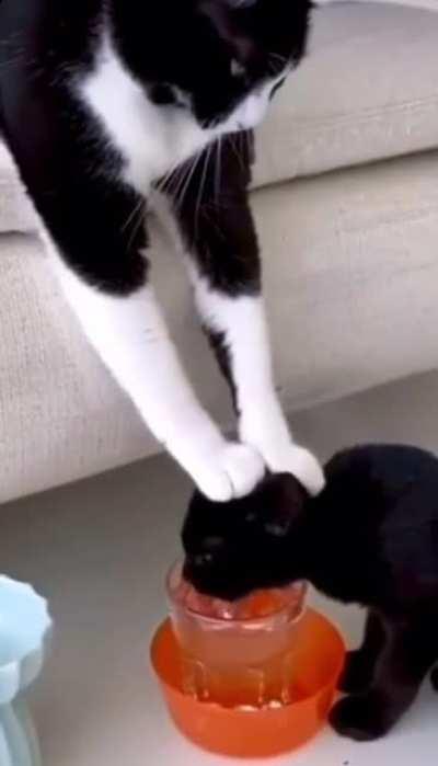 An Offer You Can’t Refuse