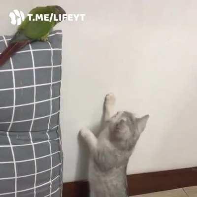 А, ой... Да, я тут просто стену проверяю...