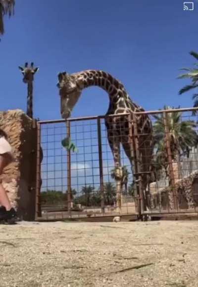 The next great astronut