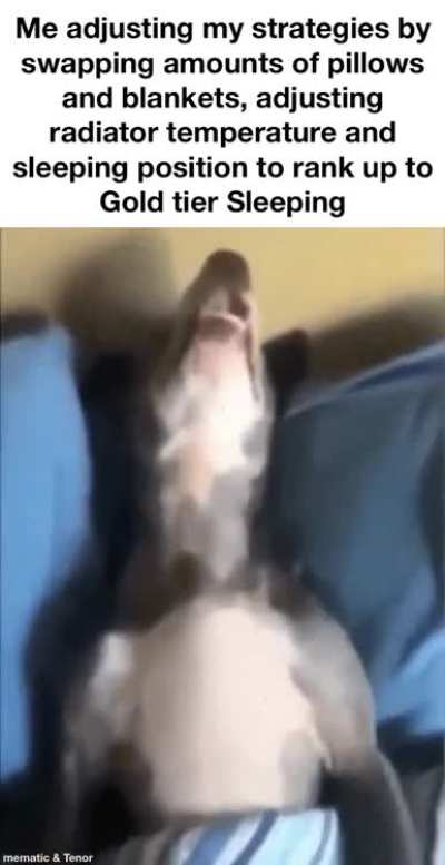 Had a dream where Sleeping became an intensely competitive sport