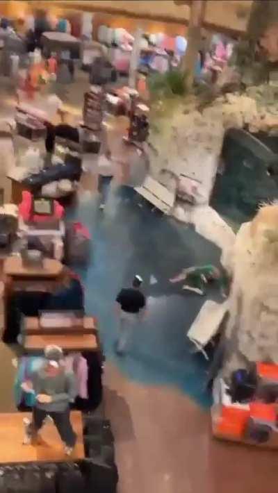 Kid jumps into tank at bass pro