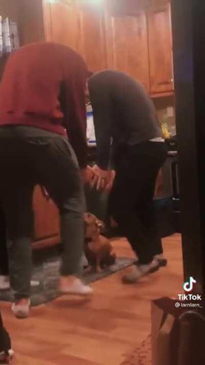 pOor dOg iS usEd aS sAcrifIce iN sAtanIc CuLt rItuaL