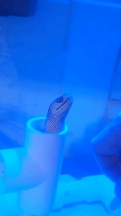 Trust exercises starting to pay off.