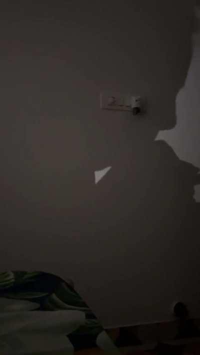 Amateur GIF by cinnamonrollinbuns