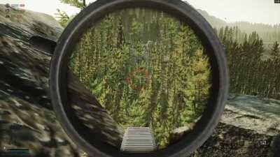 565.5m Headshot with the Lapua on woods (OC)