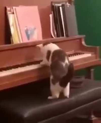 Piano master