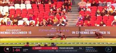 Spider-Man: No Way Home promotion at Marvel Stadium in Melbourne at the BBL match today.