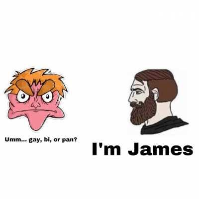 Gay,bi,pan? I’m James!