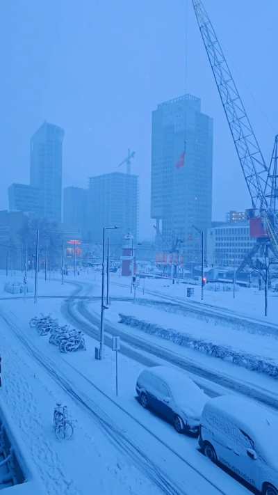 The always busy and bustling Leuvehaven, this morning.