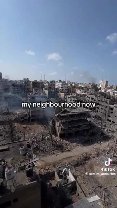 A heartbreaking video from TikTok 