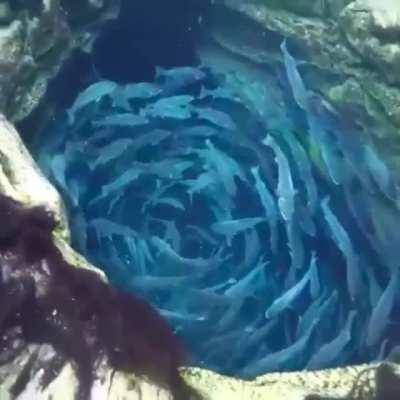 A portal to another dimension