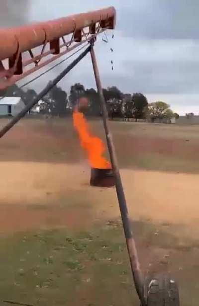 How one farmer in Australia is tackling the current mouse plague