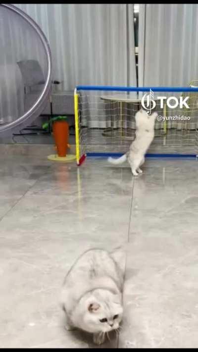 Unexpected Head ball