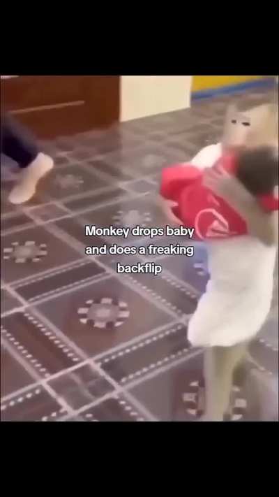 Monkey drops baby and does a freaking backflip