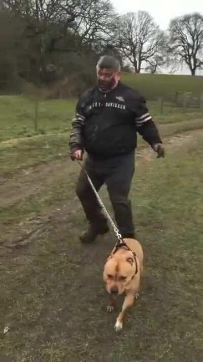 DBS taking your dog for a walk in the mud!